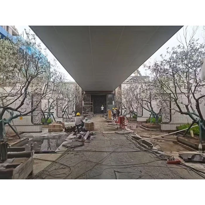 Via Olivae